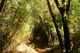 福壽山農場 福壽山農場